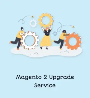 Magento 2 Upgrade Service