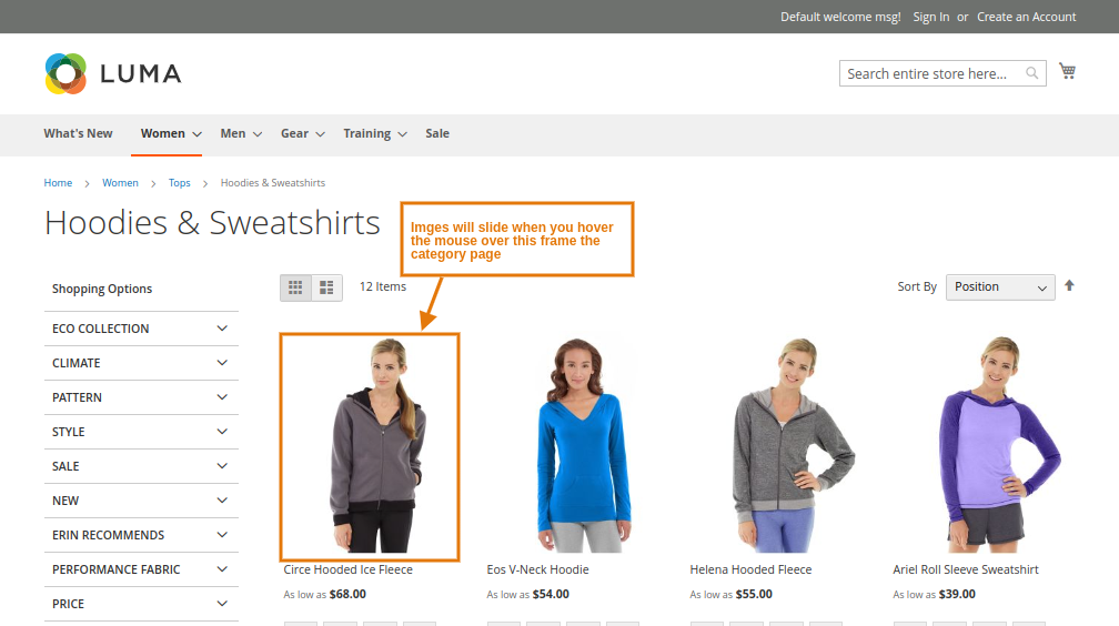 Extension Screenshot