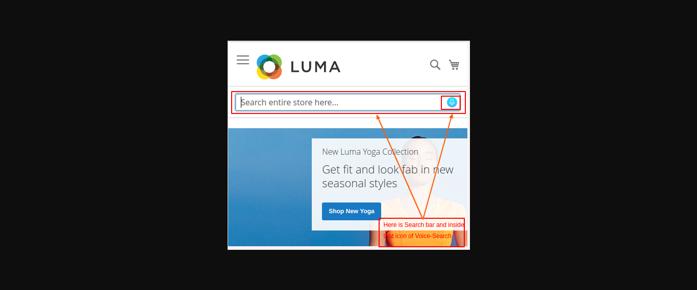 Extension Screenshot