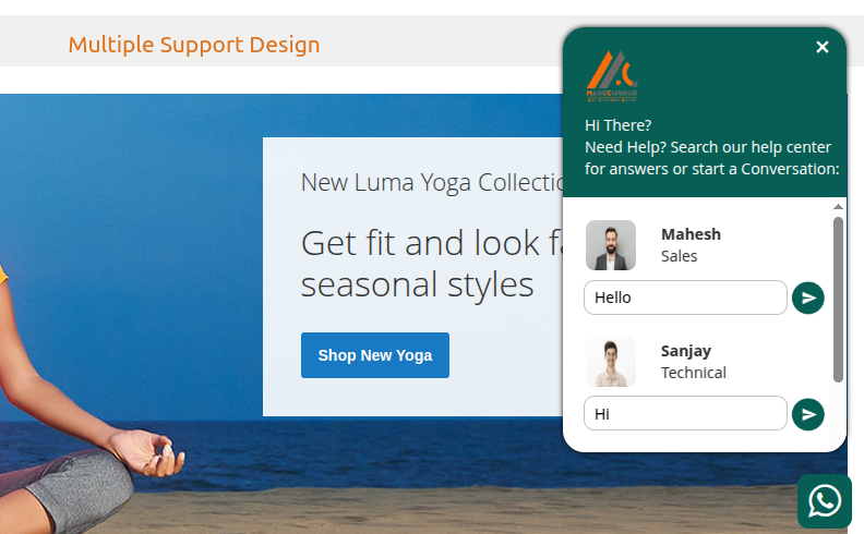 Extension Screenshot