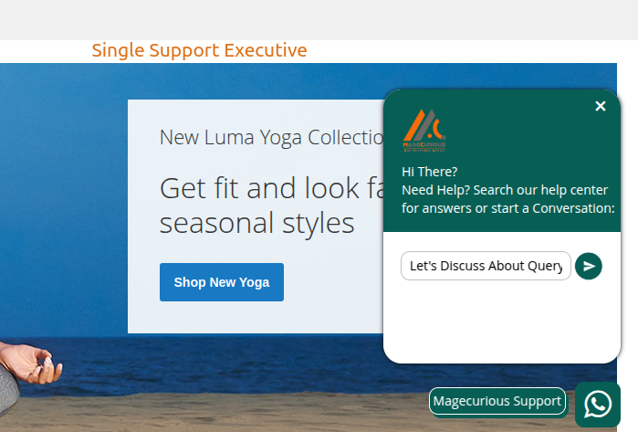 Extension Screenshot