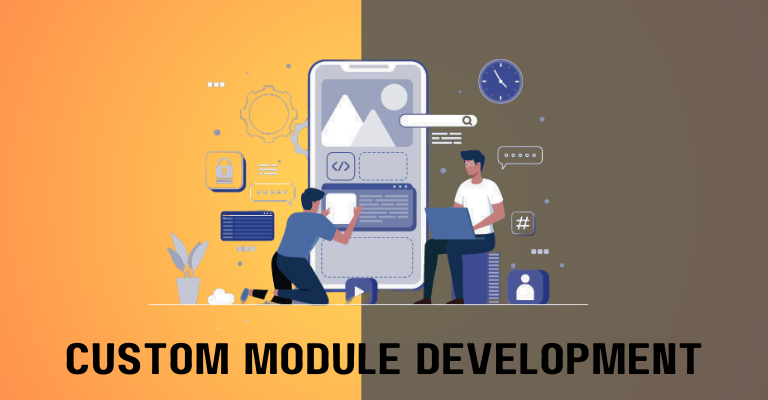 Custom Module Development