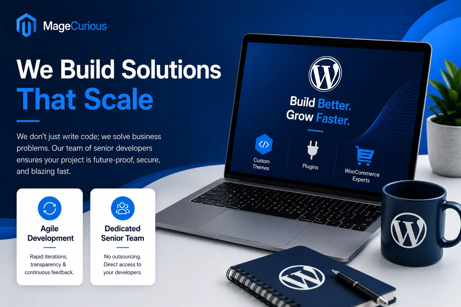 We Build Solutions That Scale